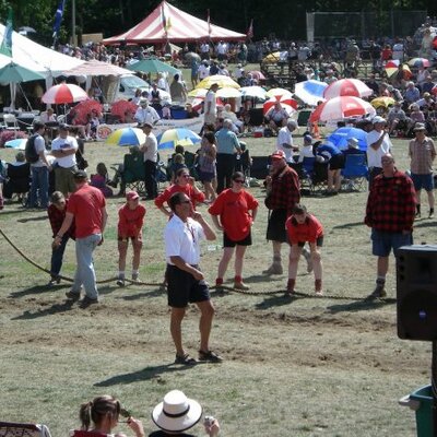 Profile Picture of Brad Forman (@br4man) on Twitter