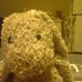 Profile Picture of Lisa Perri (@lisa.perri.146) on Facebook