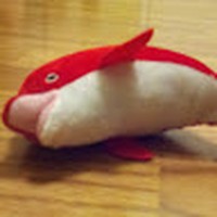 Profile Picture of Jacob Hersh (@jacob-hersh-4) on Quora