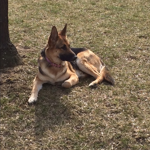 Profile Picture of Brid Zuranski (@bzuranski) on Poshmark