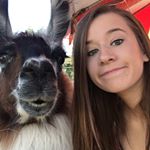 Profile Picture of B (@bayleebobblehead) on Instagram