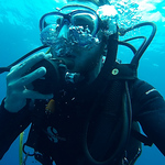 Profile Picture of Mark Mullins (@markbmullins) on Flickr