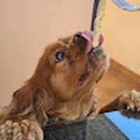 Profile Picture of Petra Kasovic (@petra-kasovic-1) on Quora