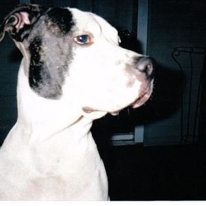 Profile Picture of Ty Lancaster (@tyler42069) on Myspace