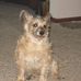 Profile Picture of George Sanborn (@george.sanborn.75) on Facebook