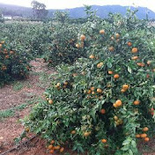 David Pavia - Youtube Profile Picture of David Pavia (@davidpavia252) on Youtube