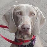 Profile Picture of Valerie Buckley (@valeriebuckley48) on Instagram