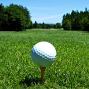 Profile Picture of Colin Murphy (@colinmurphy8145) on Youtube