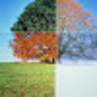 Profile Picture of Wilner Pierre (@wilner-pierre) on Quora