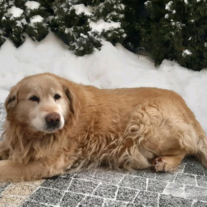 Profile Picture of Andrzej Walczak441 (@andrewwalczak7) on Tiktok