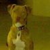 Profile Picture of Ted Boyer (@Ted-Boyer) on Facebook