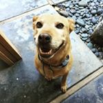 Profile Picture of Kyle liu (@kyle_liu424) on Instagram