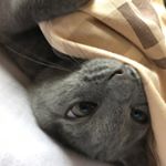 Profile Picture of Andrew Marner (@andrewmarner123) on Instagram