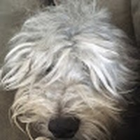 Profile Picture of Andrej Ernjakovic (@andrej-ernjakovic) on Quora