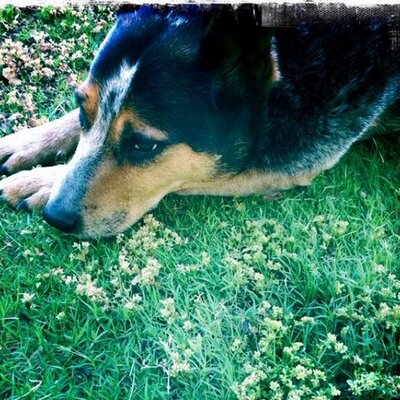 Profile Picture of Angela Neill (@AngelaNeill) on Twitter