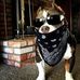 Profile Picture of Jacob Brannon (@jacob.brannon.56) on Facebook