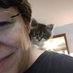 Profile Picture of Kathleen Dobson Ryan (@DobKat) on Twitter
