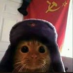 Profile Picture of Joshua Aaron Soza Trejos (@joshua_soza) on Instagram