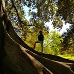 Profile Picture of joel oconnell (@oconnell5706) on Instagram