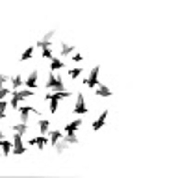 Profile Picture of Lillian Aldarondo (@lillianirene92) on Poshmark