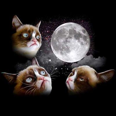 Profile Picture of Noé M Zepeda Diaz (@noemzd) on Twitter