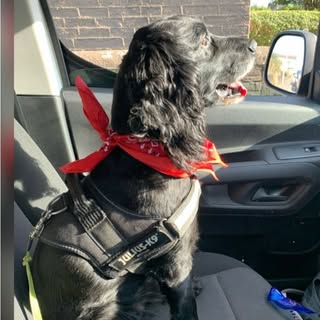 Scott Tolley - Instagram Profile Picture of Scott Tolley (@tolley_scott) on Instagram