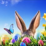 Profile Picture of Julie Faye Sprinkle (@julie.f.sprinkle) on Facebook