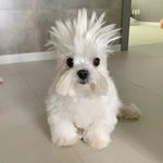 Profile Picture of Edwin Hallikainen (@edwinhallikainen) on Instagram