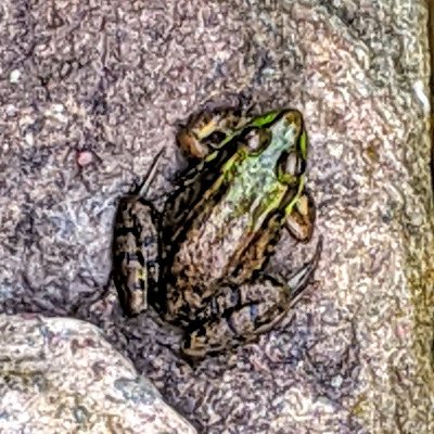 Profile Picture of Mike Vreeland (@Mike_Vreeland_A) on Twitter