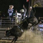 Profile Picture of Chris Mckenna (@bull_tamer1) on Instagram