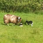 Profile Picture of Jason Osullivan (@Jason-Osullivan) on Facebook