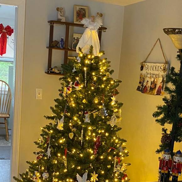 Profile Picture of Debbie Alexander (@daa0730) on Poshmark