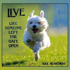 Profile Picture of Fran Caruso (@oliverdewey64) on Pinterest