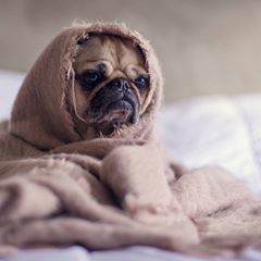 Profile Picture of Kit Thompson (@kitthompson01) on Tiktok