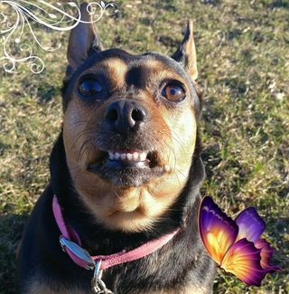 Profile Picture of Alice Keckler (@alice.keckler.7) on Facebook