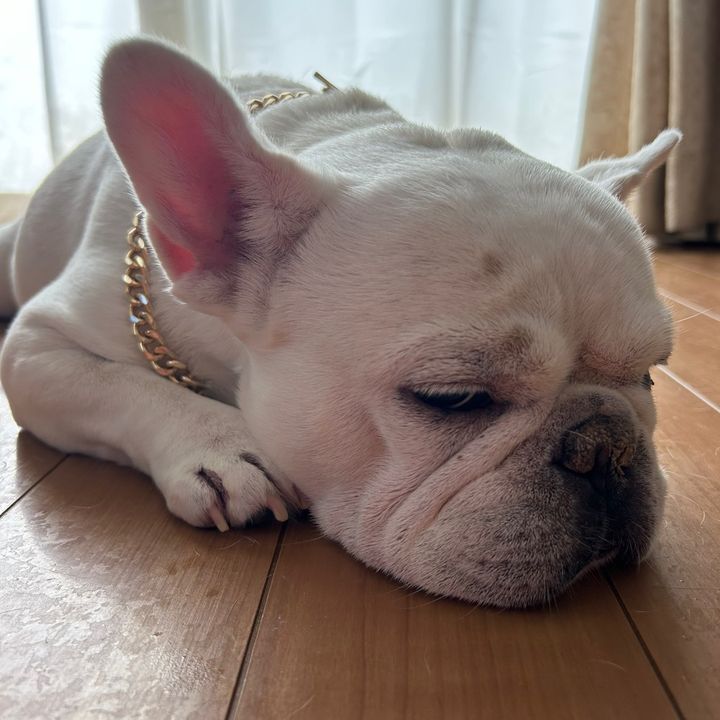 Profile Picture of LARA.B.i.g (@lara.b.i.g) on Tiktok