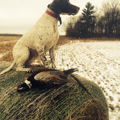 Profile Picture of Barry Bowman (@butter23A) on Twitter