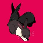 Profile Picture of Peter Cartier and Phoebe Cosette (@peter_and_phoebe) on Instagram