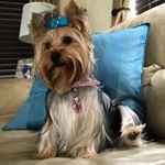 Profile Picture of Jerry Fancher (@jerryfancheraneby) on Instagram