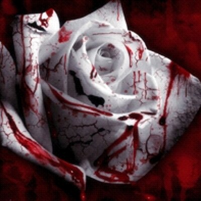 Profile Picture of Bertha Quintero Sanc (@BerthaSanc) on Twitter