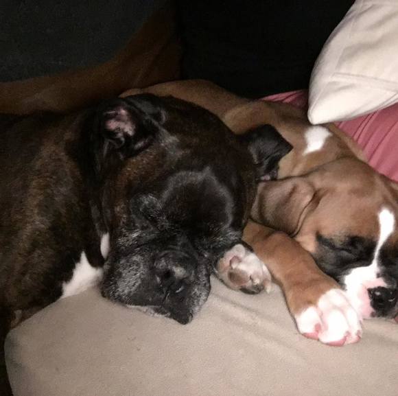 Andrew Tamburino - Poshmark Profile Picture of Andrew Tamburino (@tambinator2000) on Poshmark