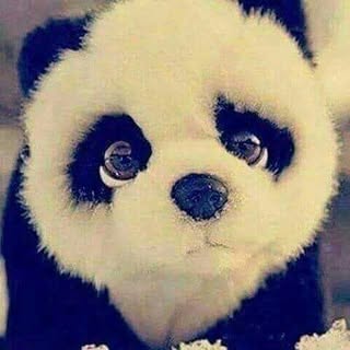 Profile Picture of Lina Sameh😌 (@sameh.lina) on Instagram