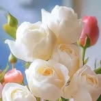 Julia Chipa - Facebook Profile Picture of Julia Chipa (@Julia-Chipa) on Facebook