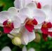 Profile Picture of Leonor Aceves (@leonor.aceves.3) on Facebook