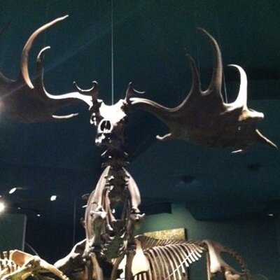 Profile Picture of John Bradberry (@JohnBradB) on Twitter