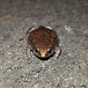Profile Picture of Doug Alexander (@@2184759897) on Tiktok