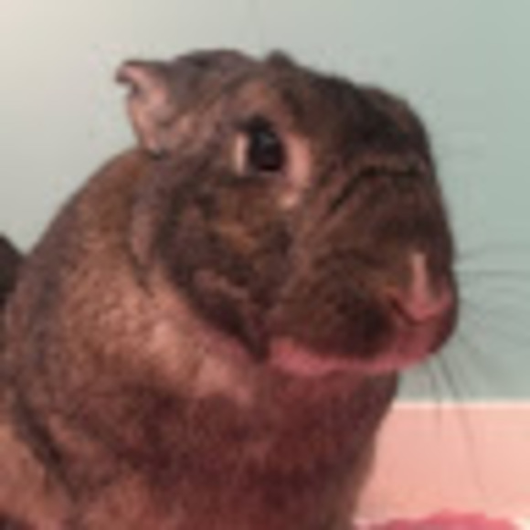 Profile Picture of Makayla Richardson (@mrichardsonyt) on Poshmark