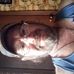 Profile Picture of Robert Inbody (@robert.inbody.50) on Facebook