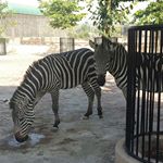 Profile Picture of Sameer Ashraf (@sameer_ashraf6) on Instagram