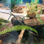 Profile Picture of Margo Klein (@margohomes) on Instagram